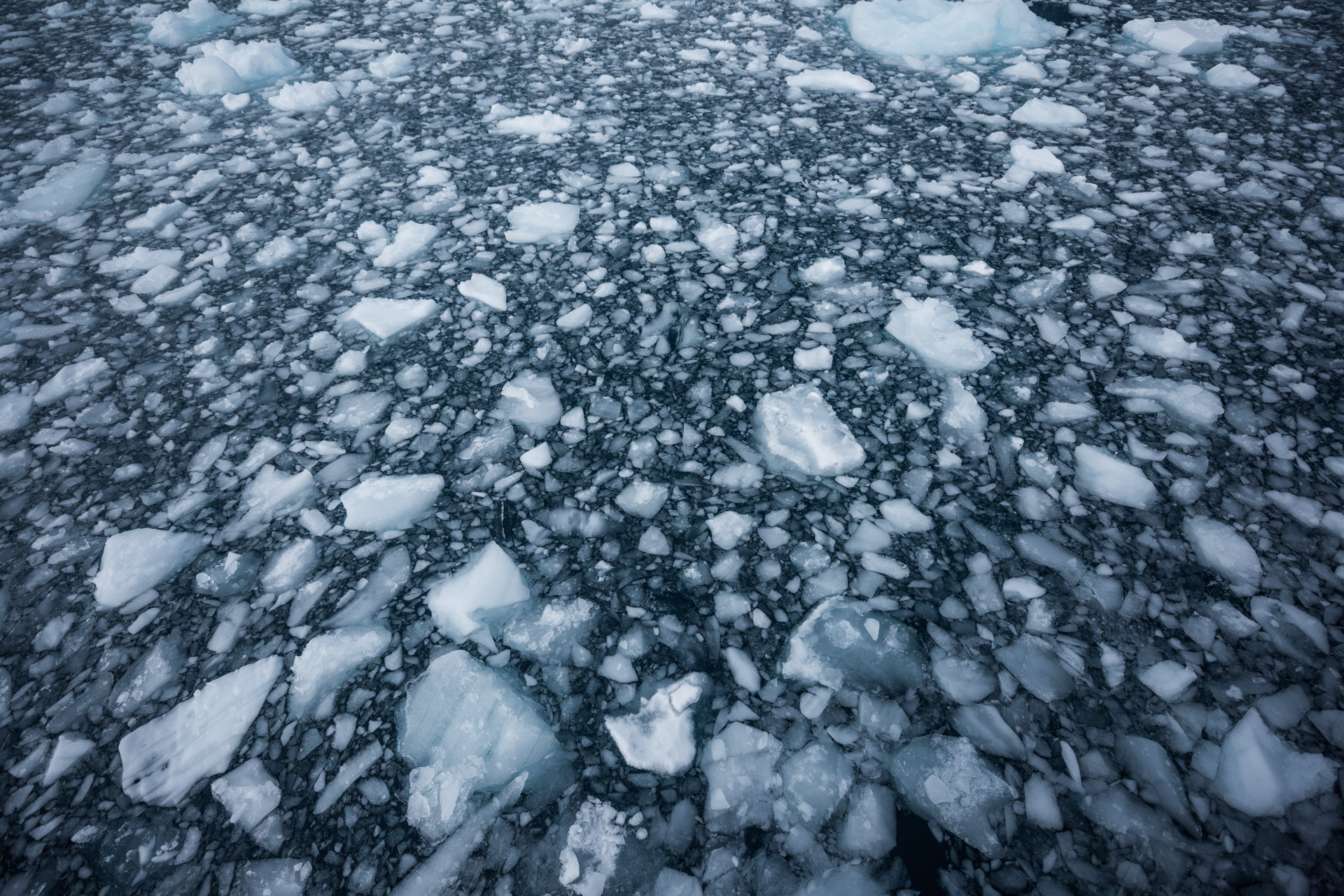 Brash ice against the hull.