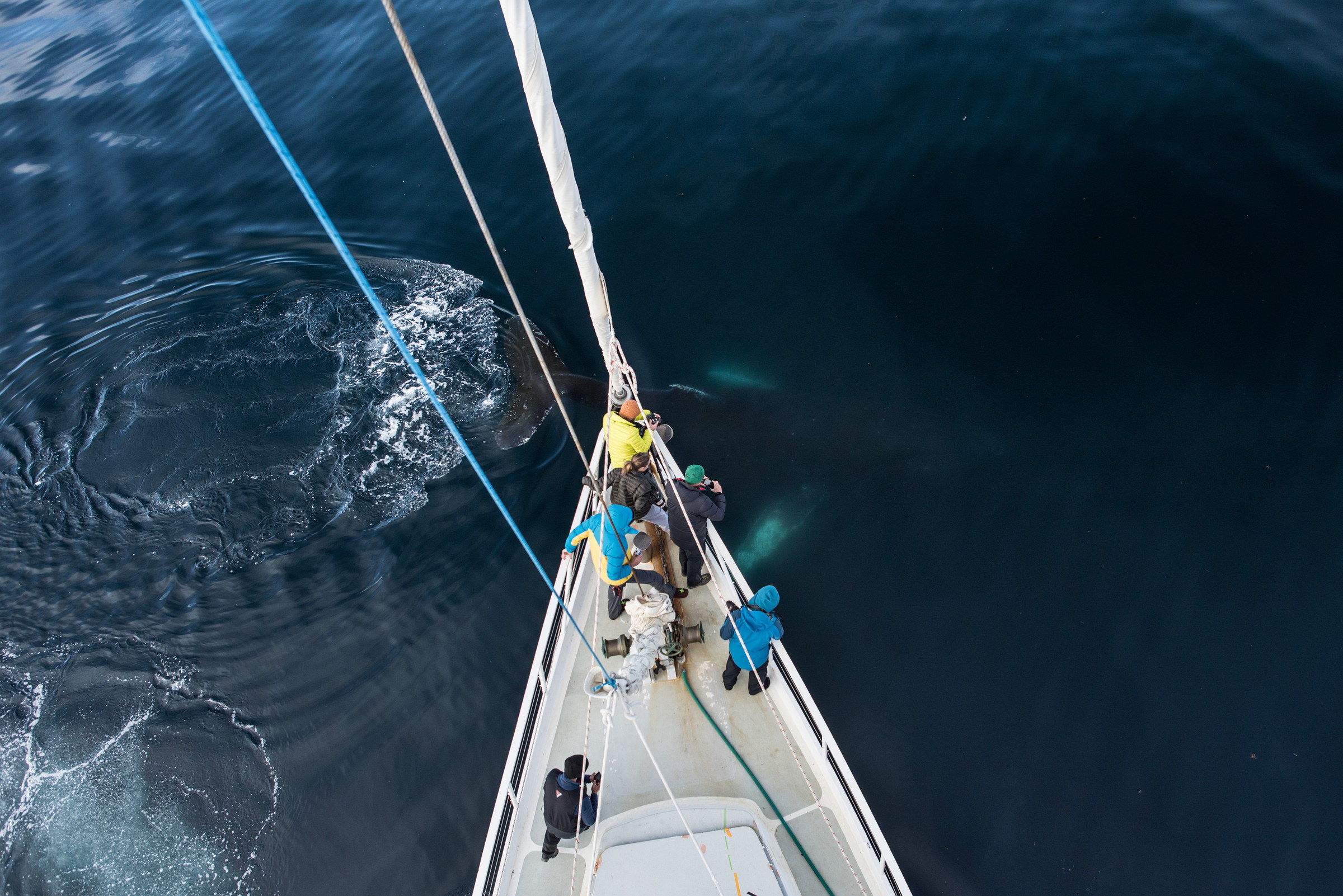 Looking down from the masthead.