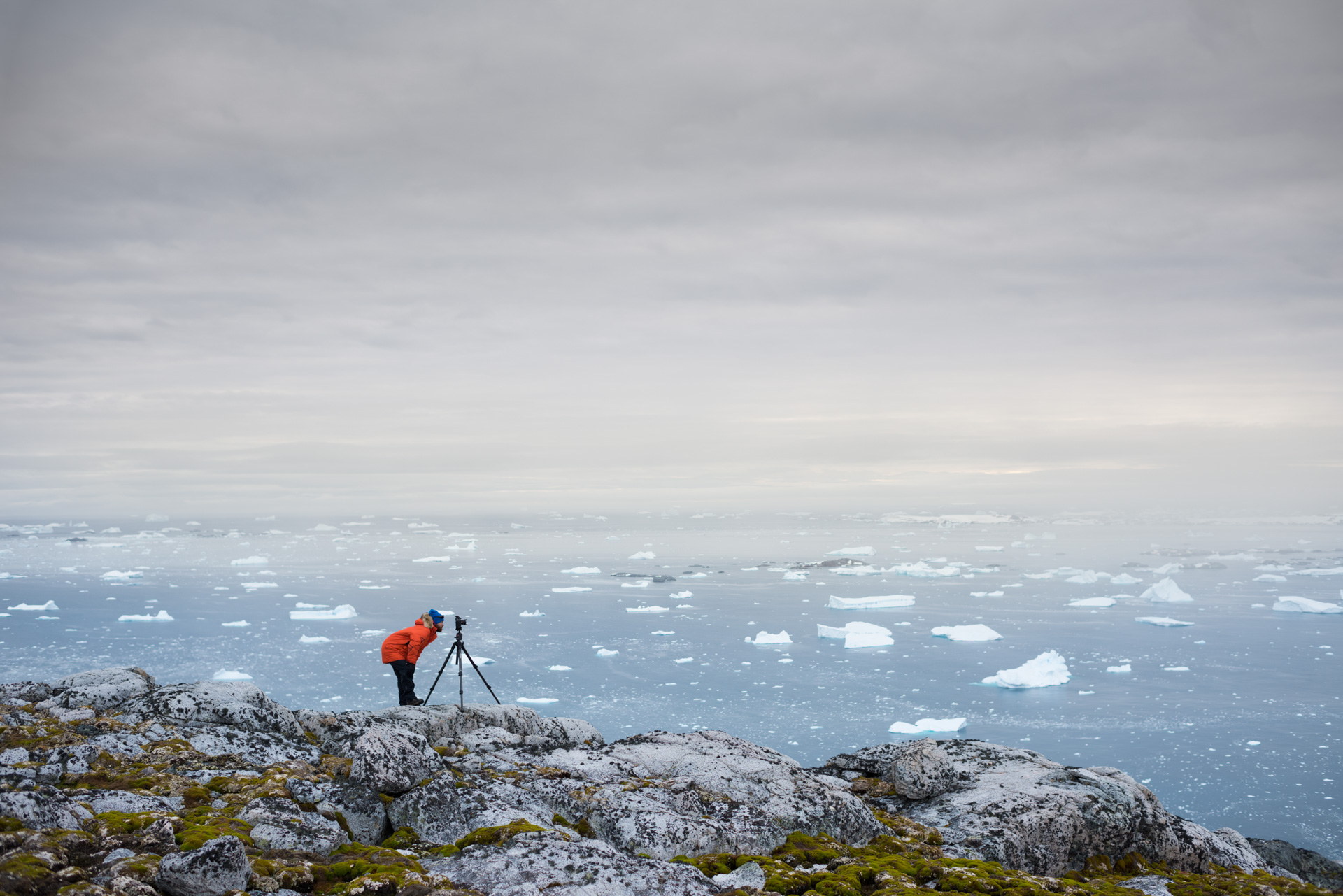 Icebergs as far as the eye can see.