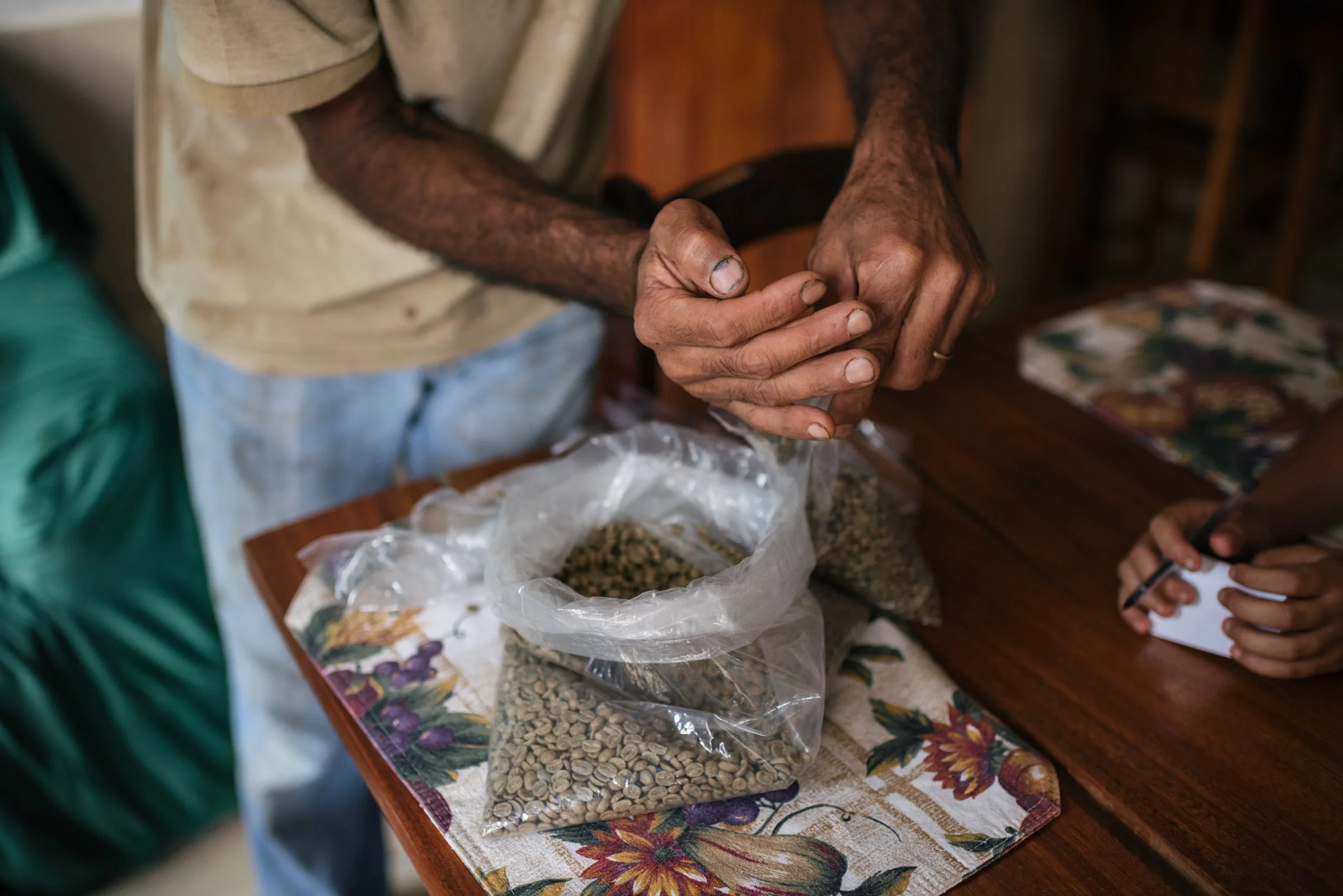 Sorting green beans.