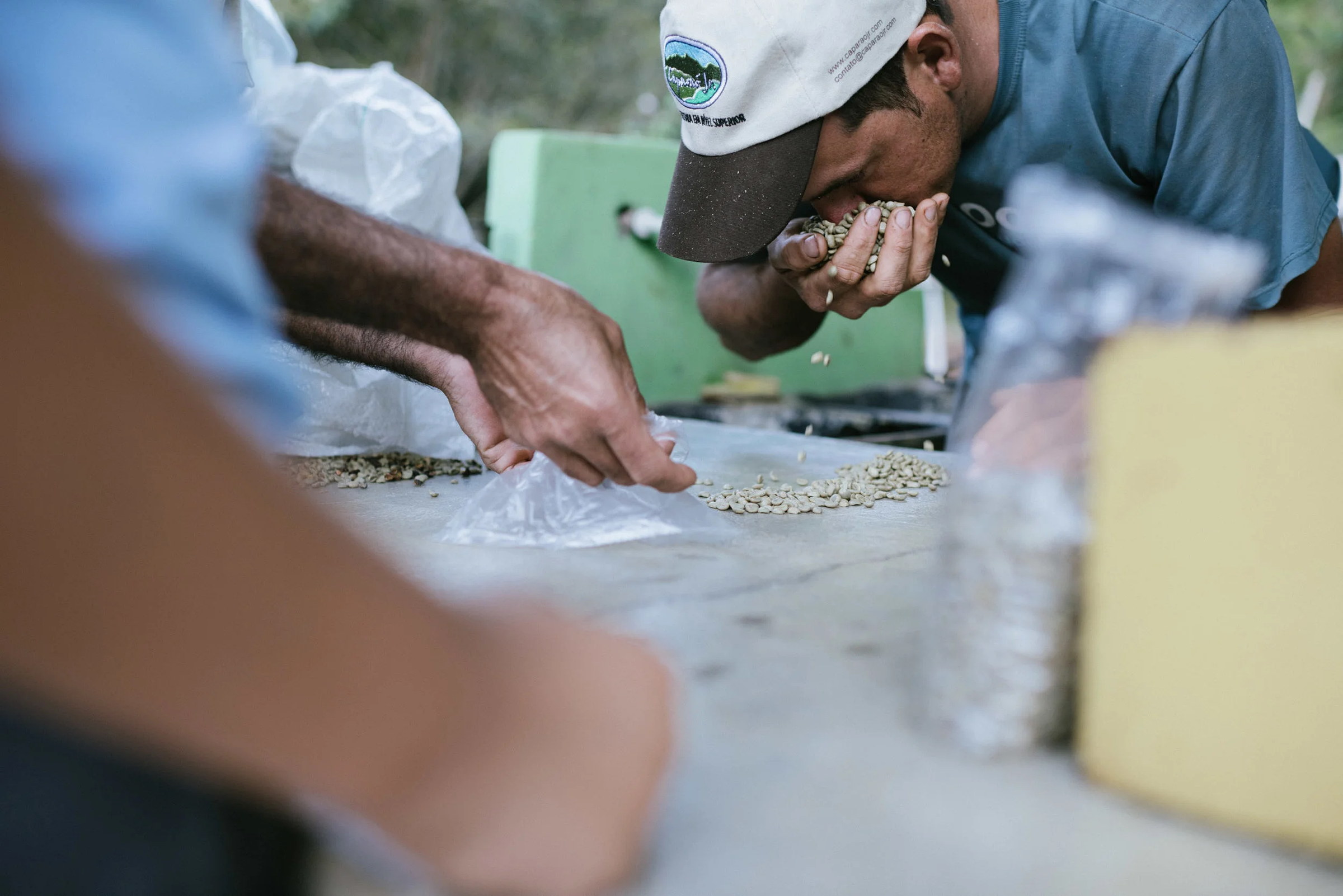 Checking the beans.