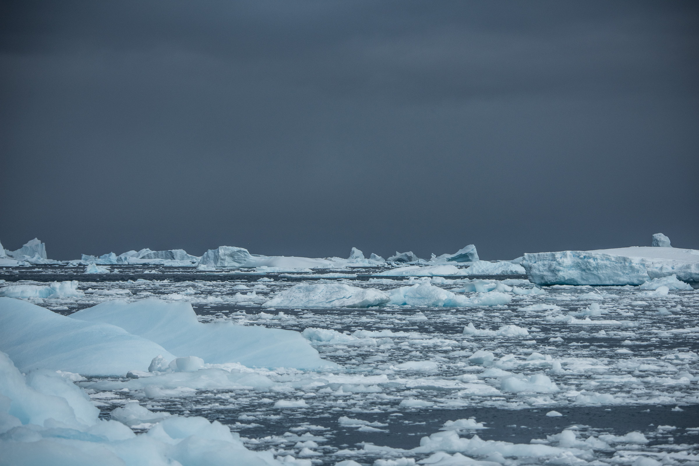 Brash ice, Antarctic Peninsula.