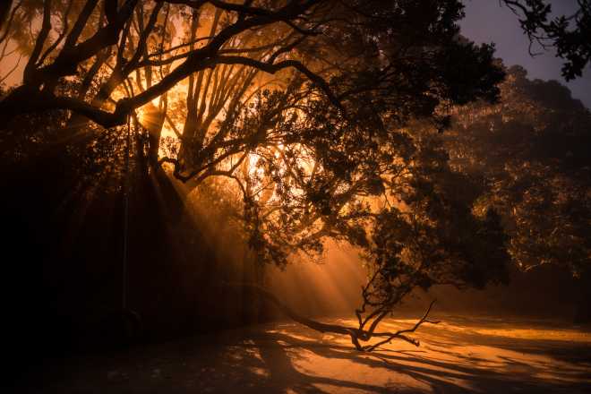 Before dawn, Auckland.