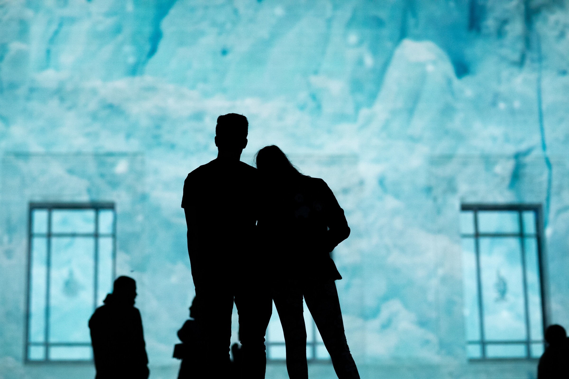 The projection on the museum, opening night.