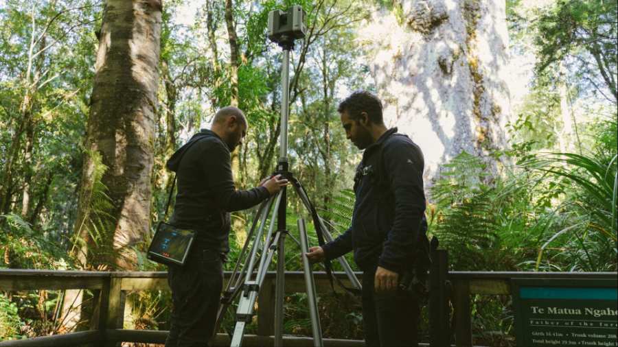 Lidar at Te Matua Ngahere.
