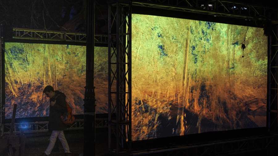 Installation view.