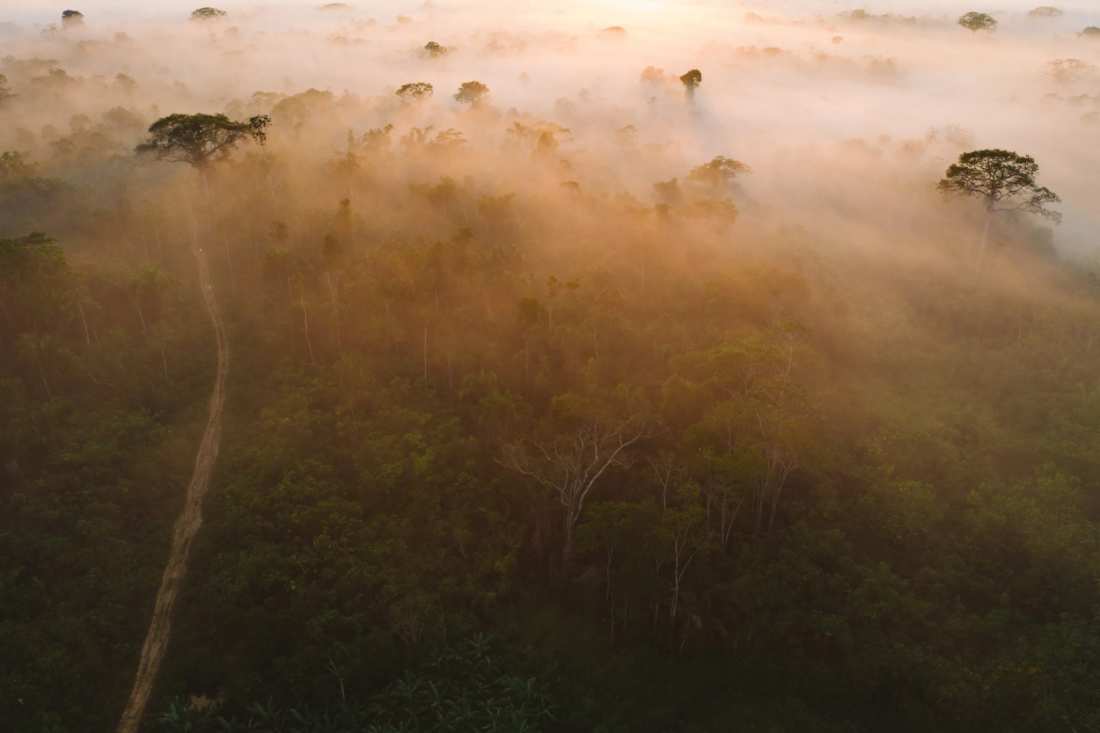 Dawn over the forest, Acre.